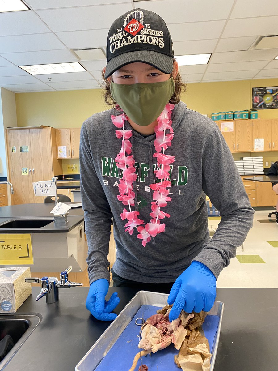 Davis Tran tweet media