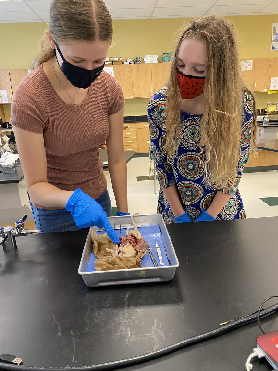 Davis Tran tweet media