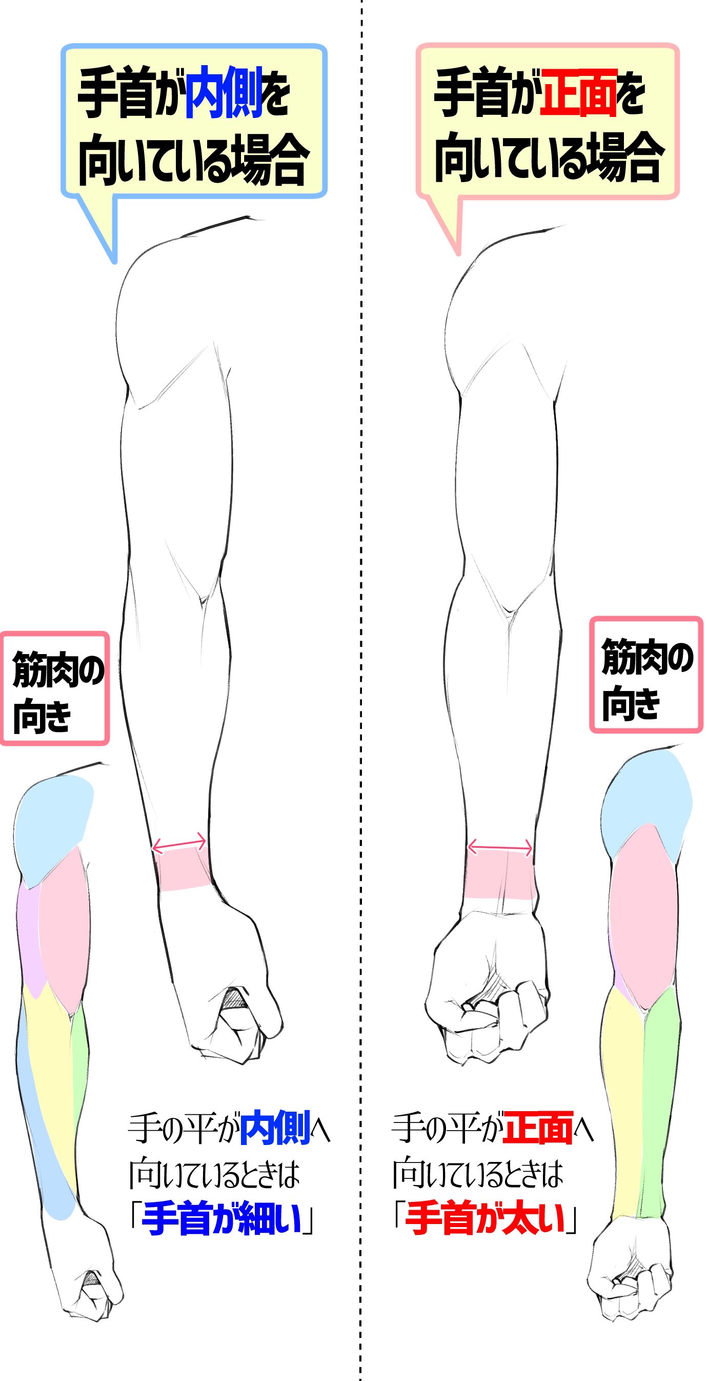 تويتر 吉村拓也 イラスト講座 على تويتر 男性のバストアップの筋肉を描くコツ T Co 98lym4bs7l