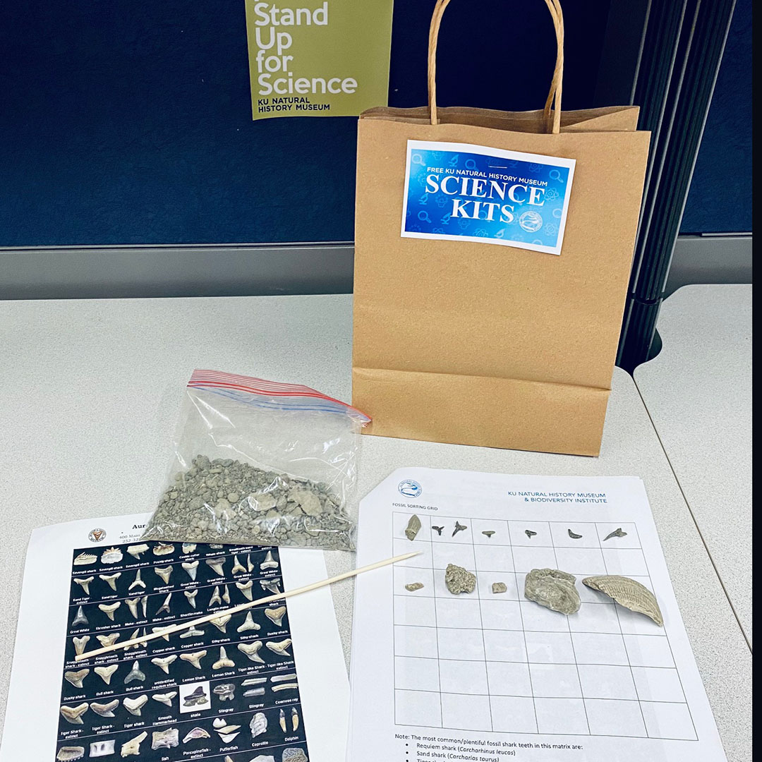 kunhm's tweet photo. Free Science Kits are back this Sat., 10am-2pm! Pick up a free #KUnhm Science Kit for our June 19 virtual Pop Up Science - Fossil Shark Teeth event on Facebook! Get a kit, while supplies last, curbside, outside the museum at 1345 Jayhawk Blvd!
#Kansas #STEMkids https://t.co/ND59S0qOPU