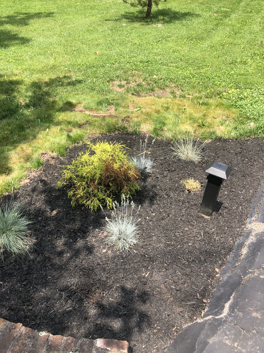 q_outdoor's tweet photo. A great week of work from your best up and coming neighborhood landscaping company in the neighborhood.  We provide the best customer service and a personable experience. We take pride in making sure you have the best yard in the neighborhood. Give us a call @ (317)586-5134 https://t.co/8a81ku4Cfs