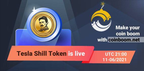 Tesla Shill Token tweet media