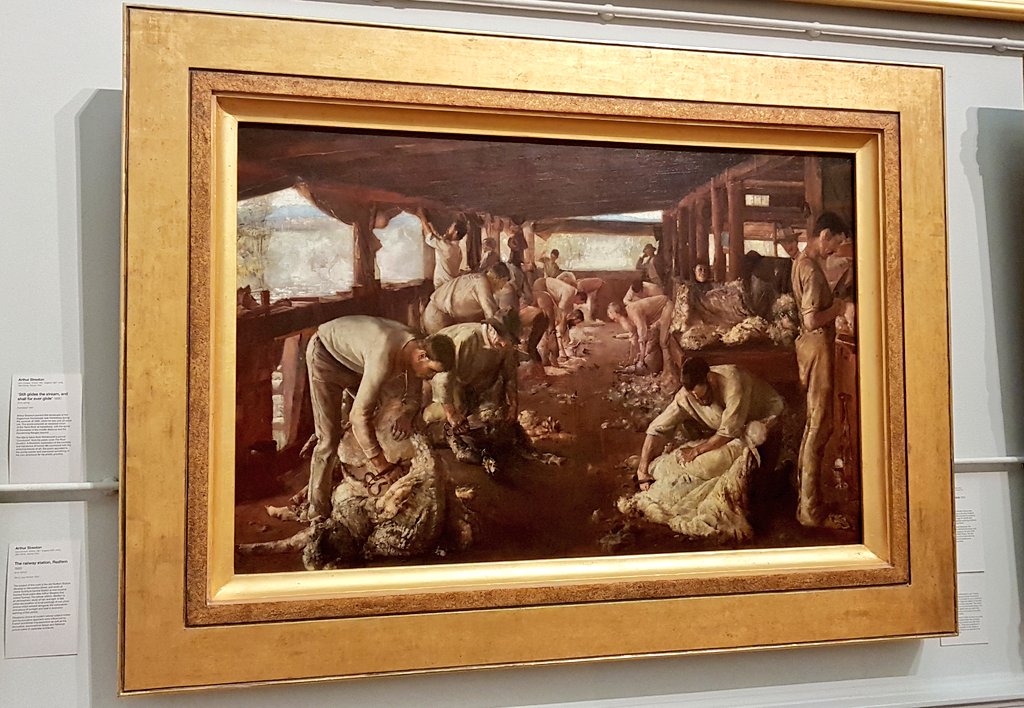 NorannV's tweet image. Two years ago this week I finally got to see the original painting of The Golden Fleece, by Tom Roberts.

It was painted in 1894, in a shearing shed on the historic Newstead property.

We live near Newstead, and have been fortunate enough to visit that particular shed many times.