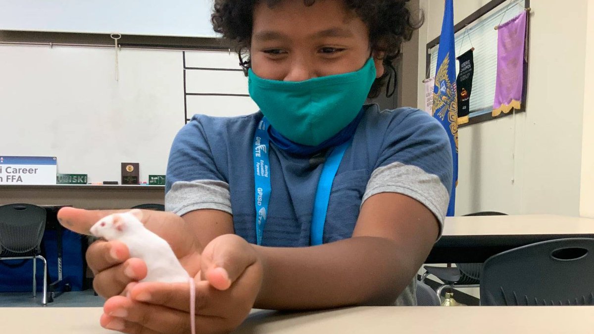 CTE_GPISD tweet media