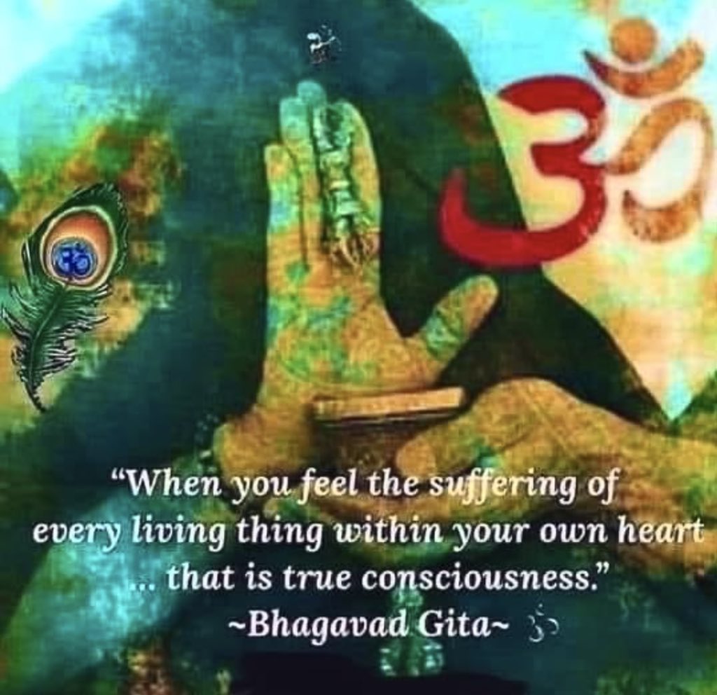 BuddhaBrian's tweet photo. When You Feel The Suffering Of Every Living Thing Within Your Own Heart...That Is True Consciousness. ~The Gita
#CosmicConsiousness #Love #Live #TheGita #WarmHeartedness #Compassion #Kindness #Namaste https://t.co/JPGsYaZ1AJ