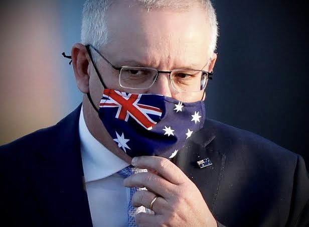 Peter Cronau tweet media