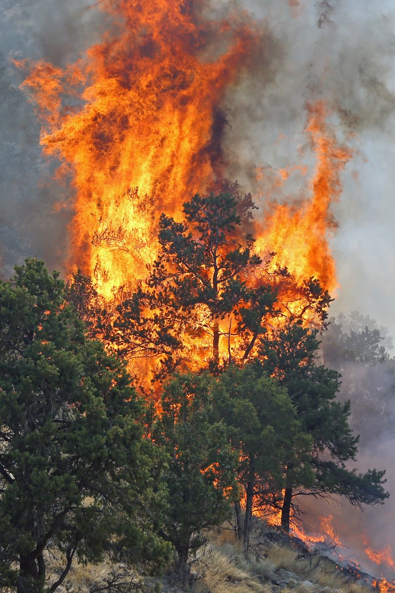 UtahWildfire's tweet image. #BearFire

The Good: Crews had success creating solid anchor points along US-6 to start direct attack on the fire.

The Bad: Crews were pulled off US-6 tonight due to reports of drivers speeding, passing illegally.
#slowdown #blmgl

Photos: Geoff Liesik, BLM