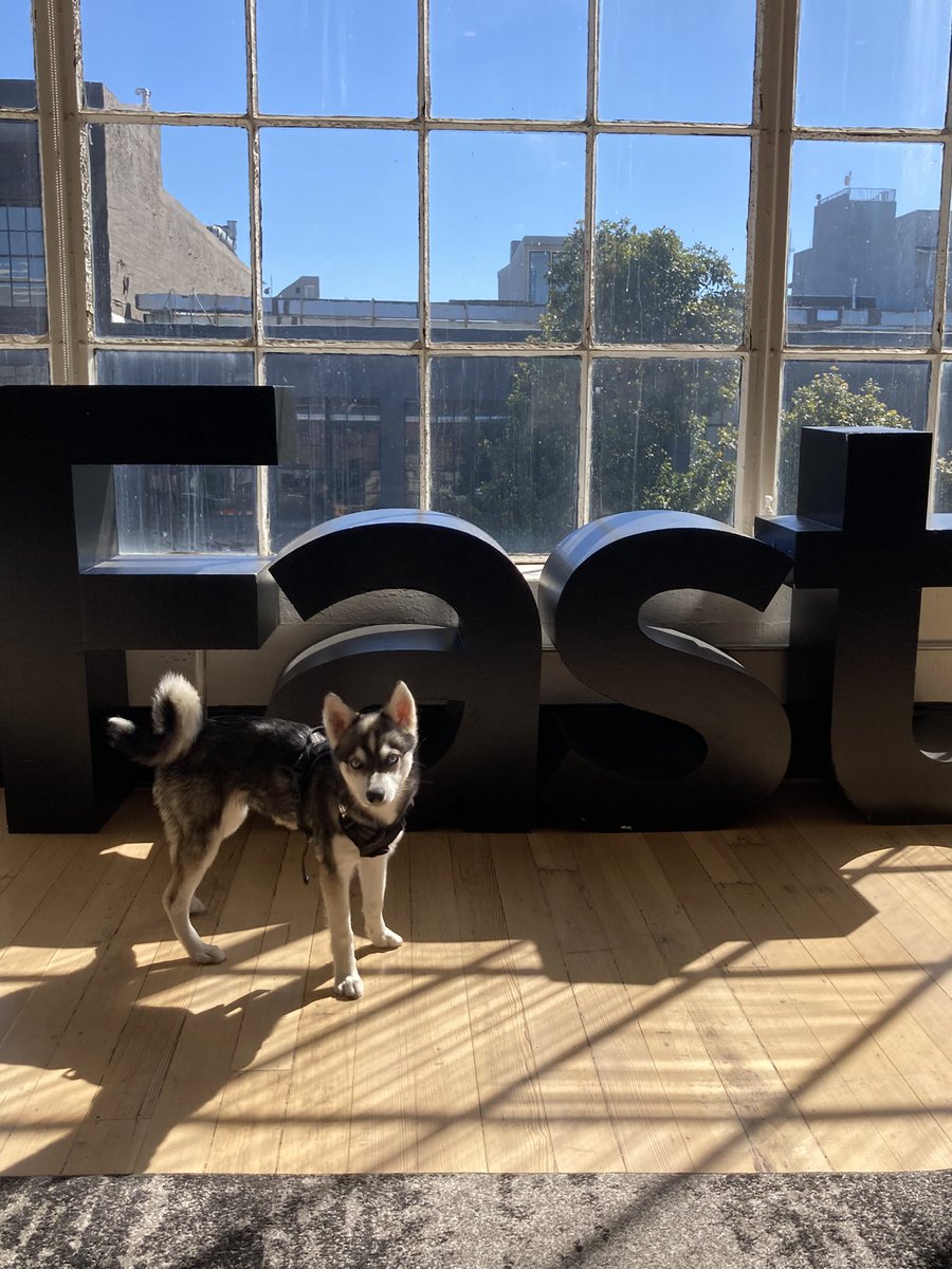 They grow up so <a href="/fast/">Fast</a> ! 🐶❤️