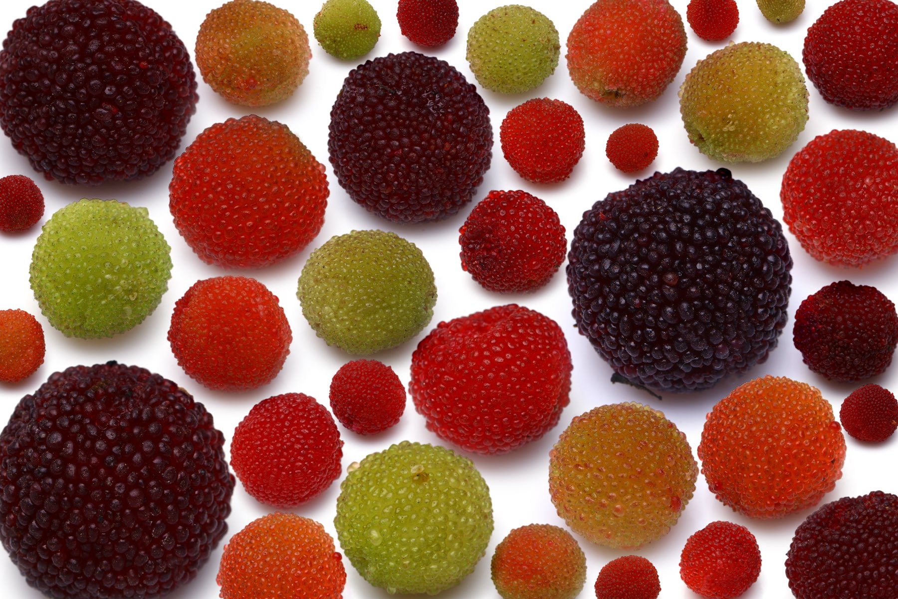 ゆうじ この時期 街路樹などでよく見るヤマモモの実が道端にポロポロと落ちており 見るとなんとなく拾い集めたくなる 特に意味はないんだけど 色々な色があって見ているとなんとなく幸せな気持ちになる