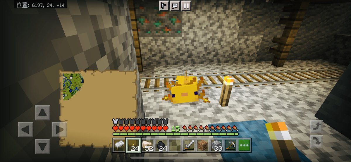 マイクラウーパールーパー マイクラウーパールーパー