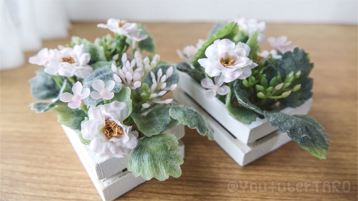 Youtuber Taro 外にミニチュアルーム持ち出して撮りました 花壇は 数年前にseria商品で作ったやつ 外は苦手な虫だらけなので数分で撤収しました