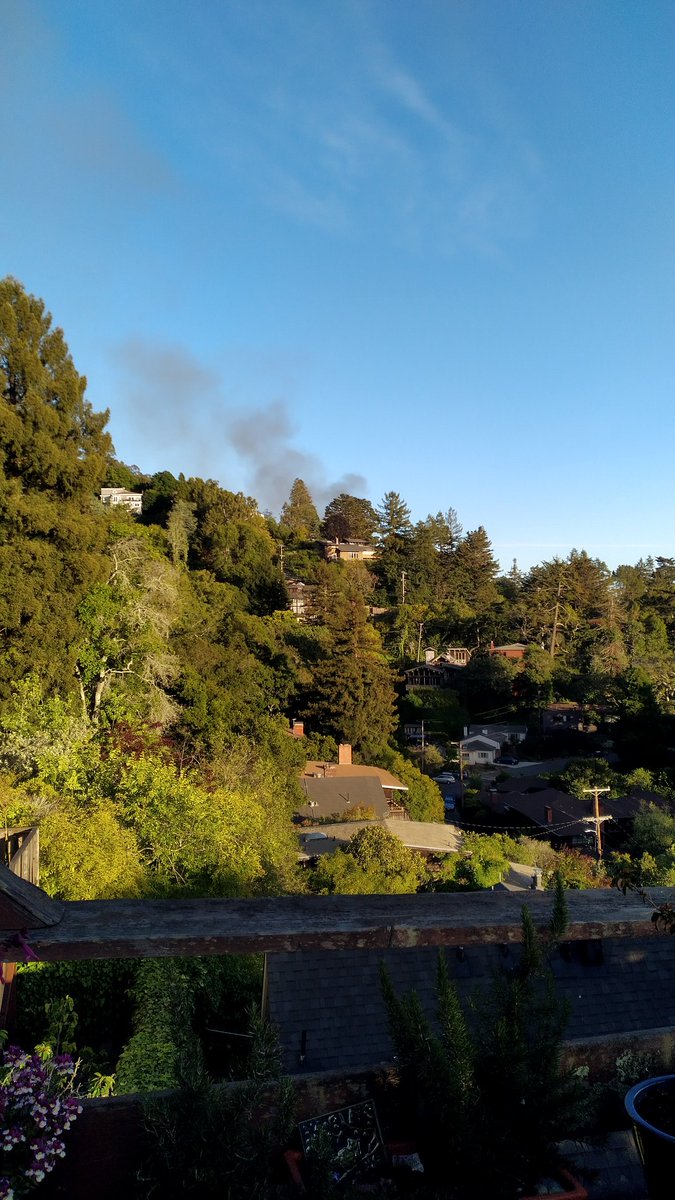BlackberryHikes's tweet photo. @berkeleyside I'm at Tamalpais and Shasta, this looks like La Loma? Facing south. https://t.co/cBeoU3tCM4