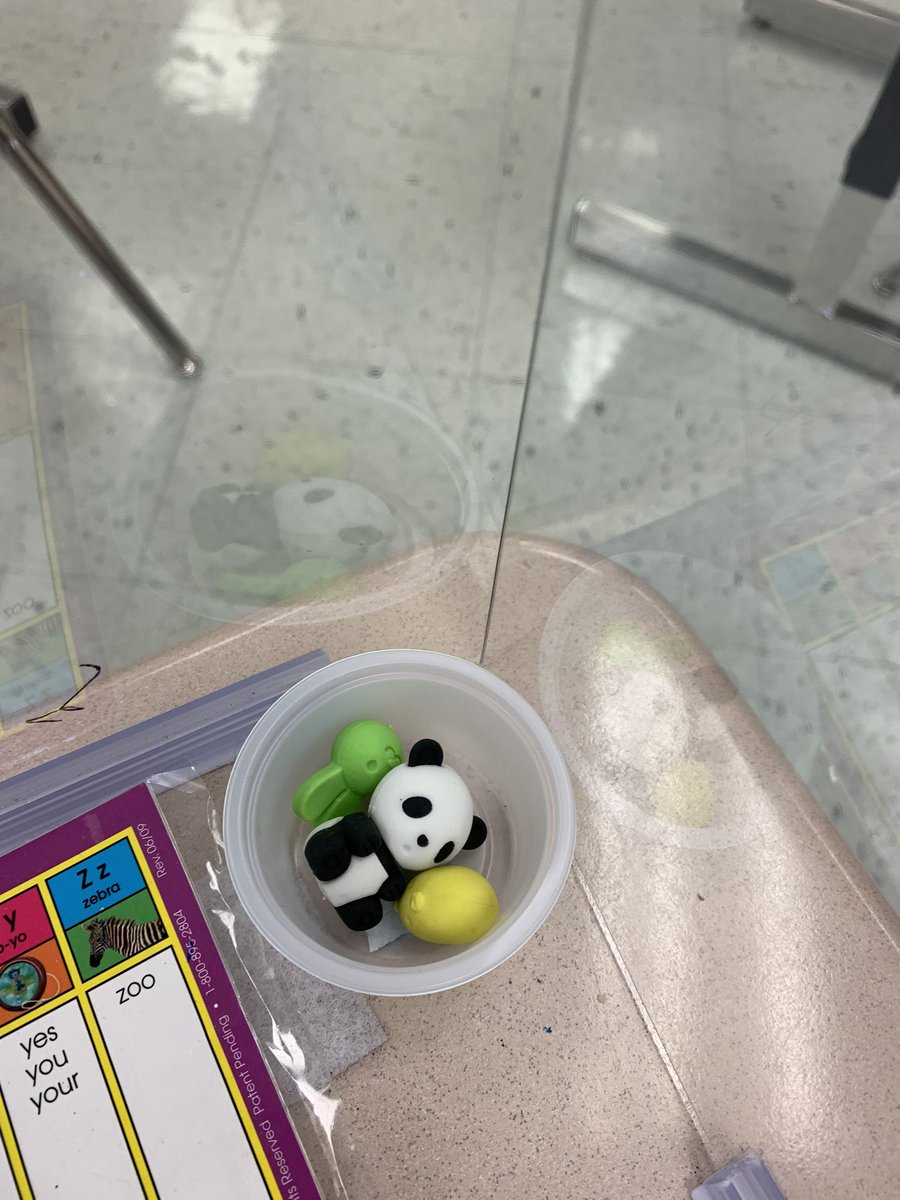 KeilingsClass's tweet photo. @propst_class We have desk pets too!! https://t.co/B8VBH4uRX8