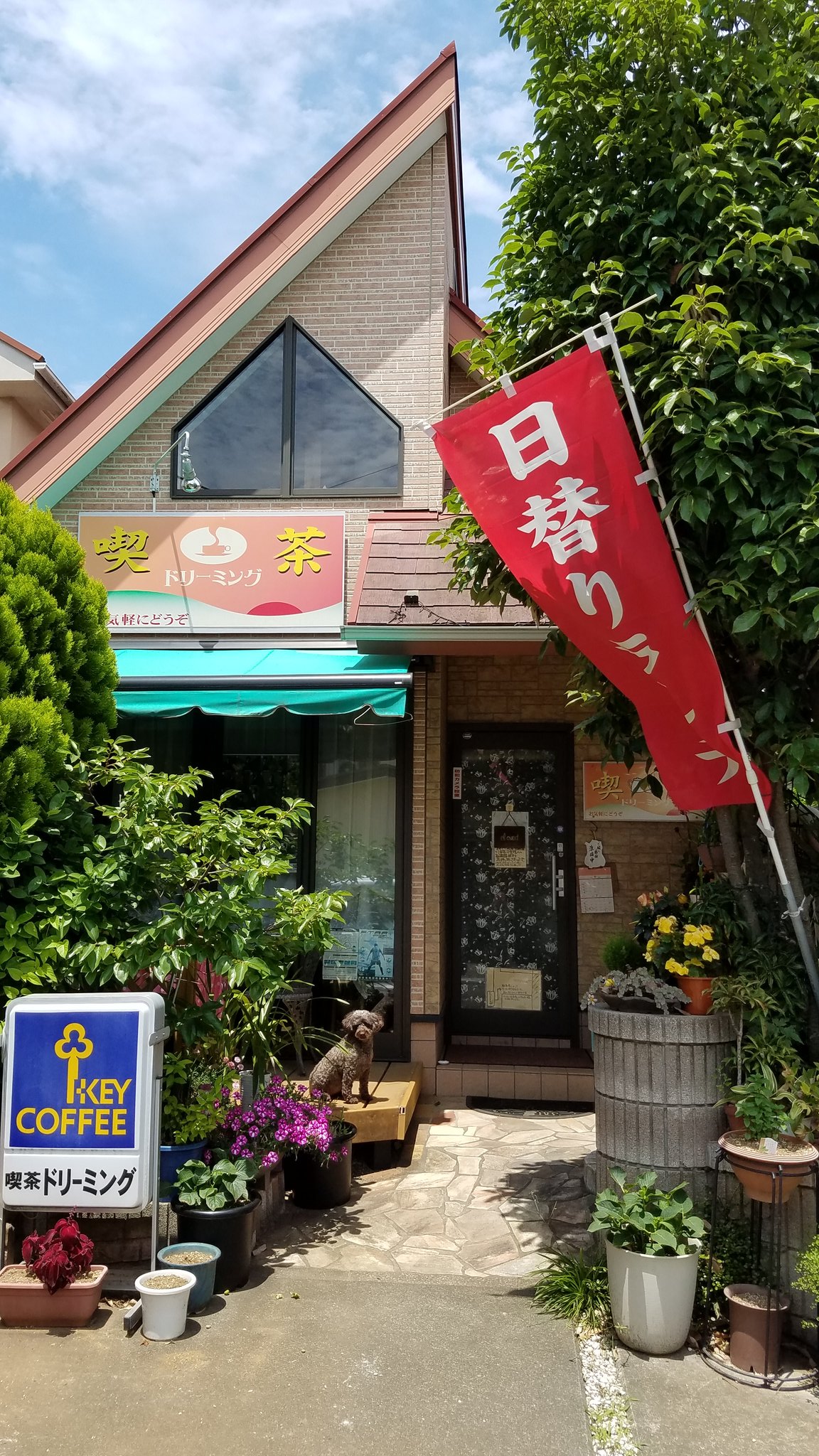 喫茶ドリーミング おばこんにちドリーミング 喫茶ドリーミング です キラキラな土曜日 皆様素敵な週末をお過ごしください 今日も1日皆様に幸あれ よろしくお願いします ᴗ 相模原 喫茶店 ランチ 大盛り 無料 お肉ちゃん お魚