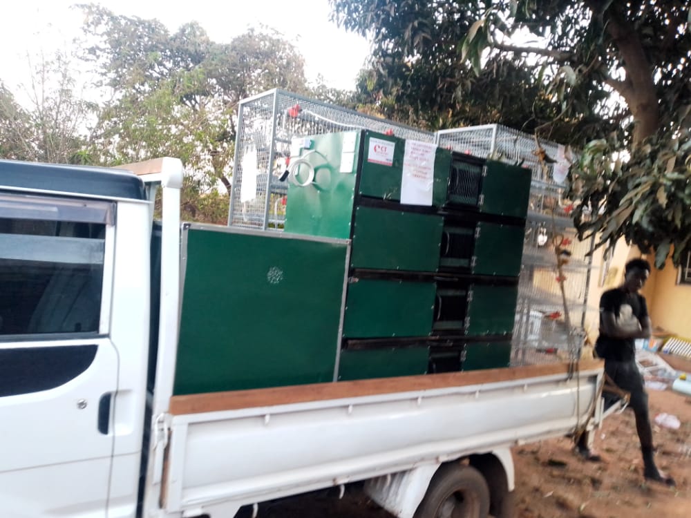 CtIncubators's tweet photo. Egg Incubator, Brooder and Cages being sent to a happy customer from Blantyre. 

Thank you so much

For Orders or Inquiries 

Call/WhatsApp 0888368611
Email: ctincubators@gmail.com 

#EggIncubator #MadeinMalawi #Poultry #business #entrepreneurship #Lilongwe #Malawi https://t.co/BOCL6Y3o9A