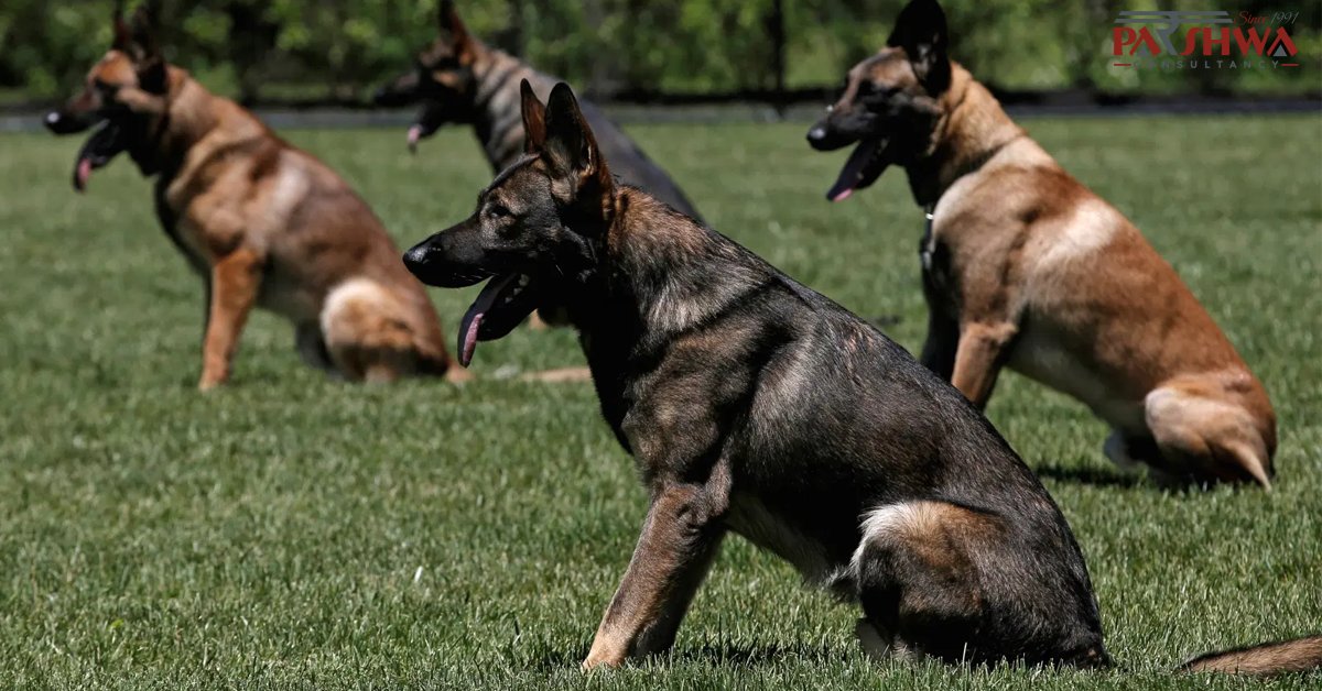 cfpvishal's tweet image. bit.ly/3vlBPyx