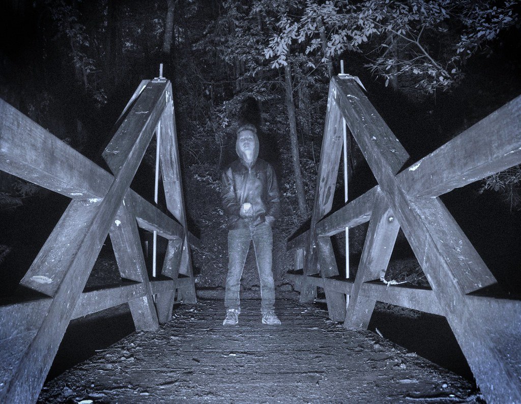 Most Terrifying Pictures (@Most_Terrifying) | Twitter