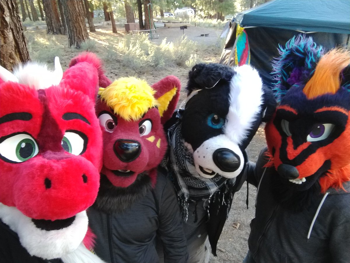 Bizkit Collie tweet media