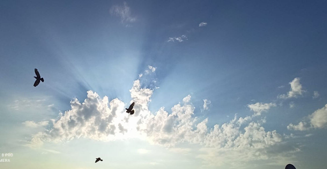 netra_chand's tweet image. Perks of being an early riser! 🌼