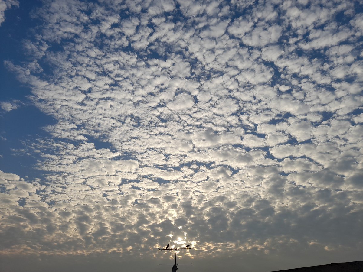 netra_chand's tweet image. Perks of being an early riser! 🌼