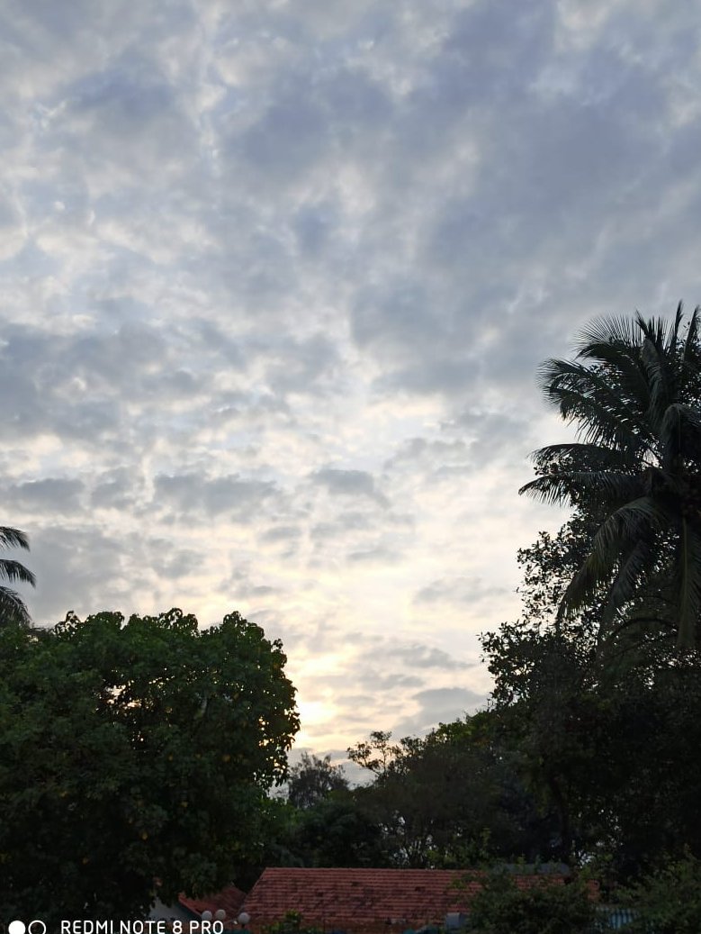 netra_chand's tweet image. Perks of being an early riser! 🌼