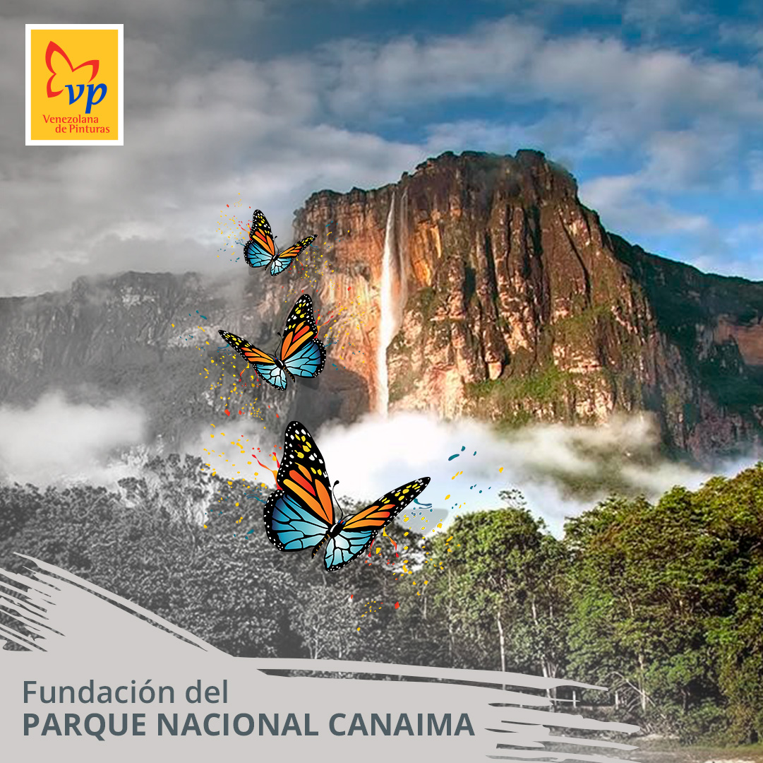 En Venezuela somos privilegiados en tener uno de los territorios más antiguos y mejor conservados del planeta. Fue declarado Parque Nacional #Canaima el 12 de junio de 1962 y en 1994 es incluido en la Lista del patrimonio mundial.