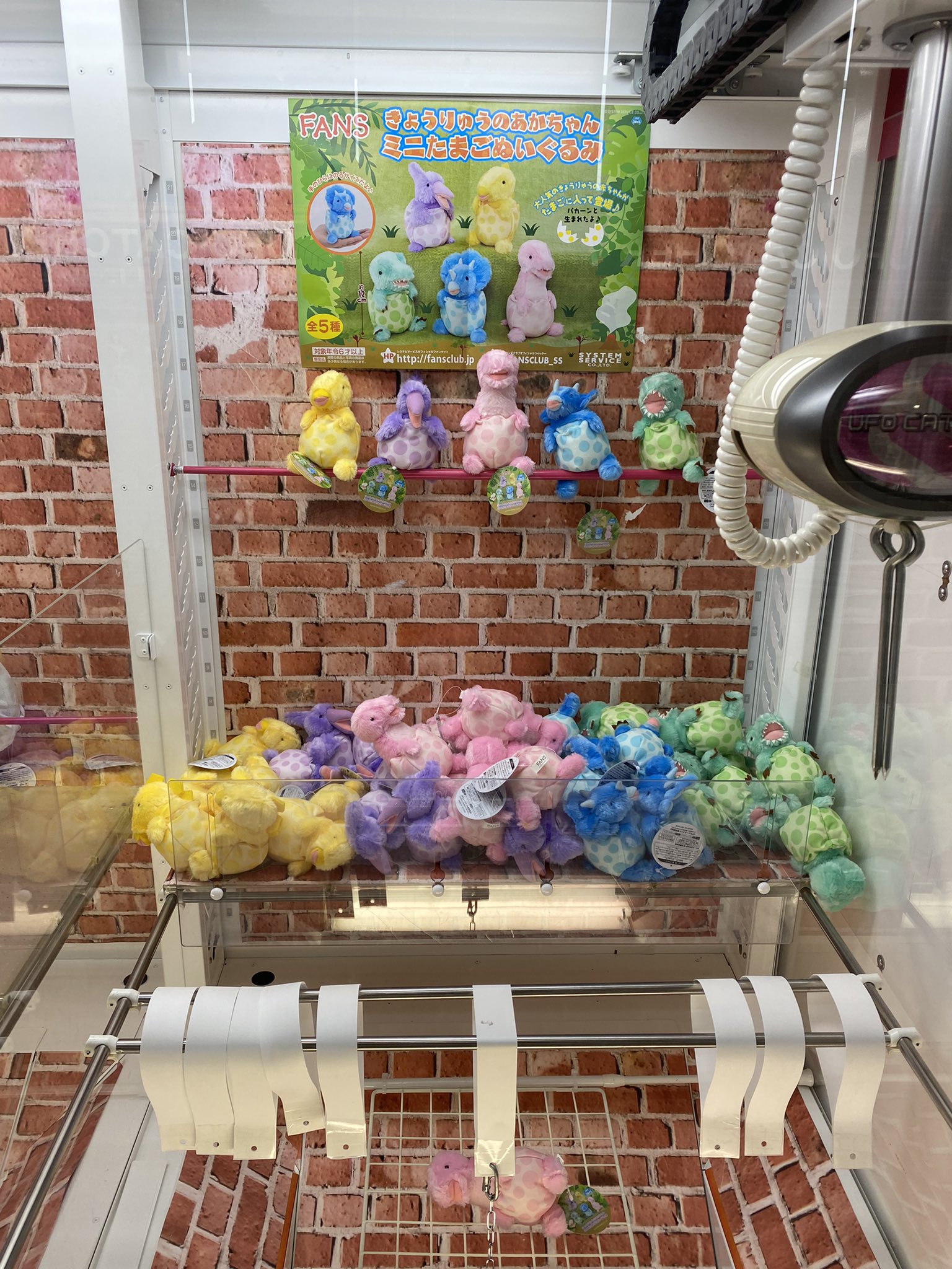 トレジャー新庄店 きょうりゅうのあかちゃんミニたまごぬいぐるみが登場しました 可愛いですね T Co Srryta8cqo Twitter