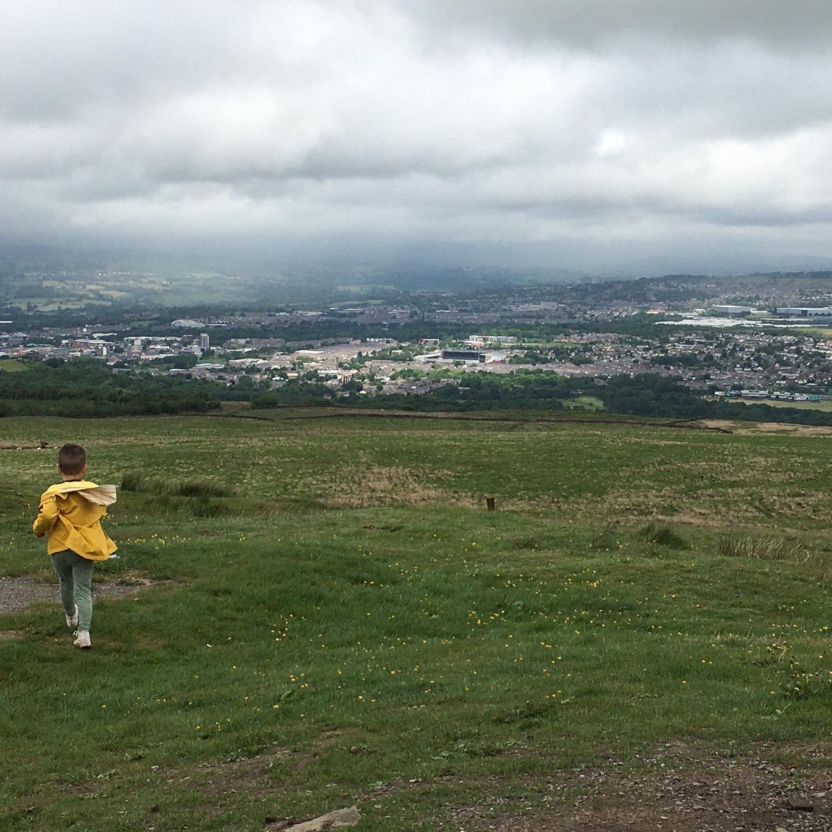 CSunPathfinder's tweet image. The wonderful #singingringingtree