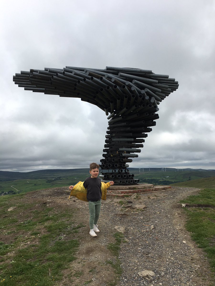 CSunPathfinder's tweet image. The wonderful #singingringingtree