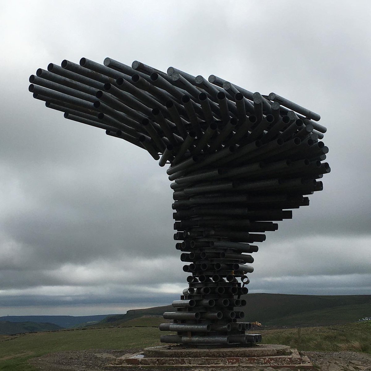 CSunPathfinder's tweet image. The wonderful #singingringingtree