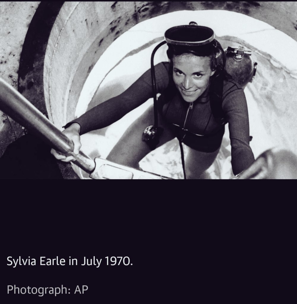 Plastic Pioneers (int'l) Plastic Warriors (UK) tweet media