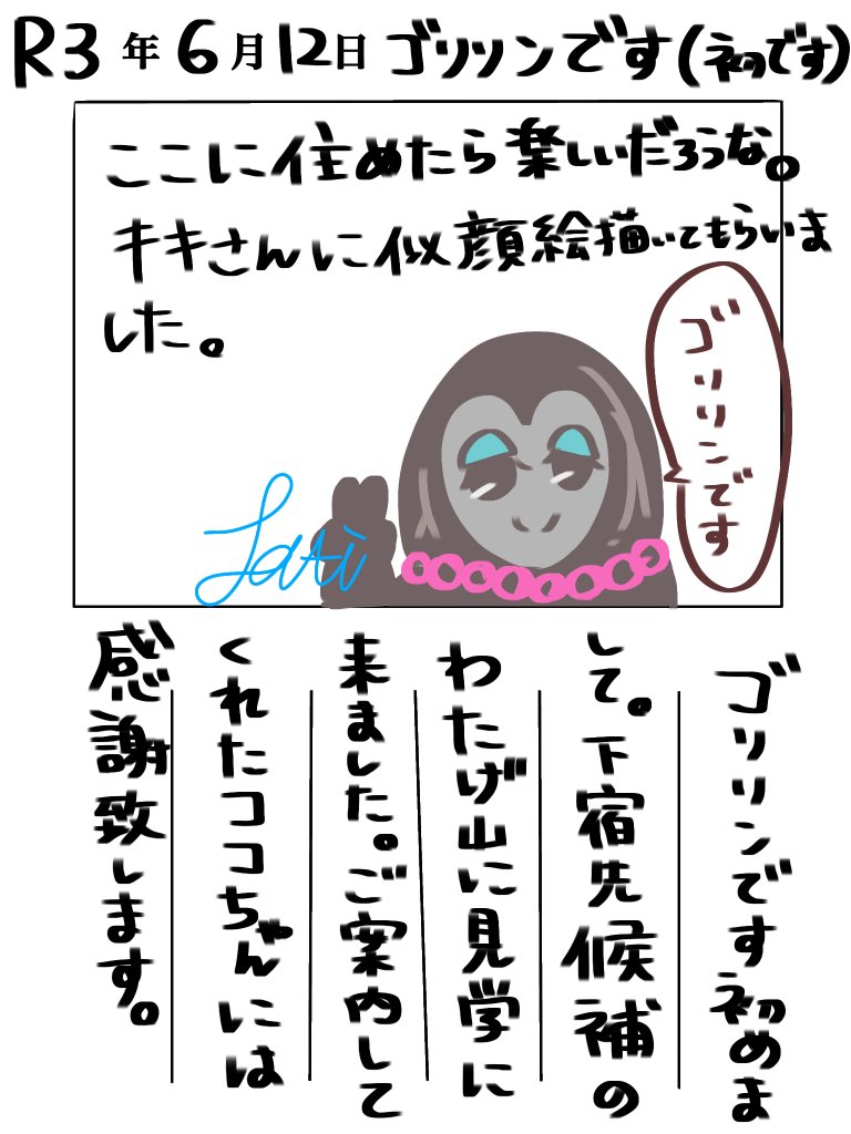 ゴリラ ゴリラ