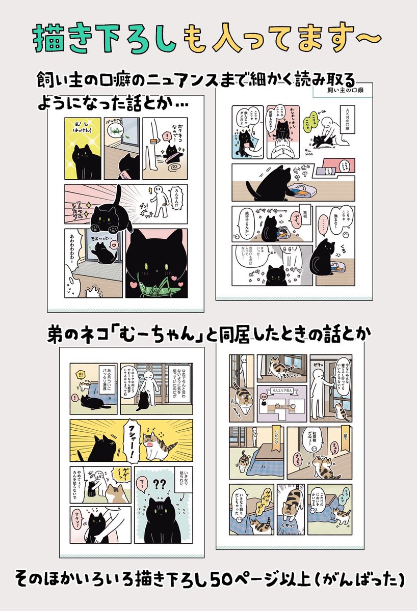 🌴おしらせ🌴
黒猫ろんと暮らしたら③巻が、7月16日(金)に出ます〜〜
ご予約いただくと確実です🐈
よろしくどうぞ!🐈‍⬛ 