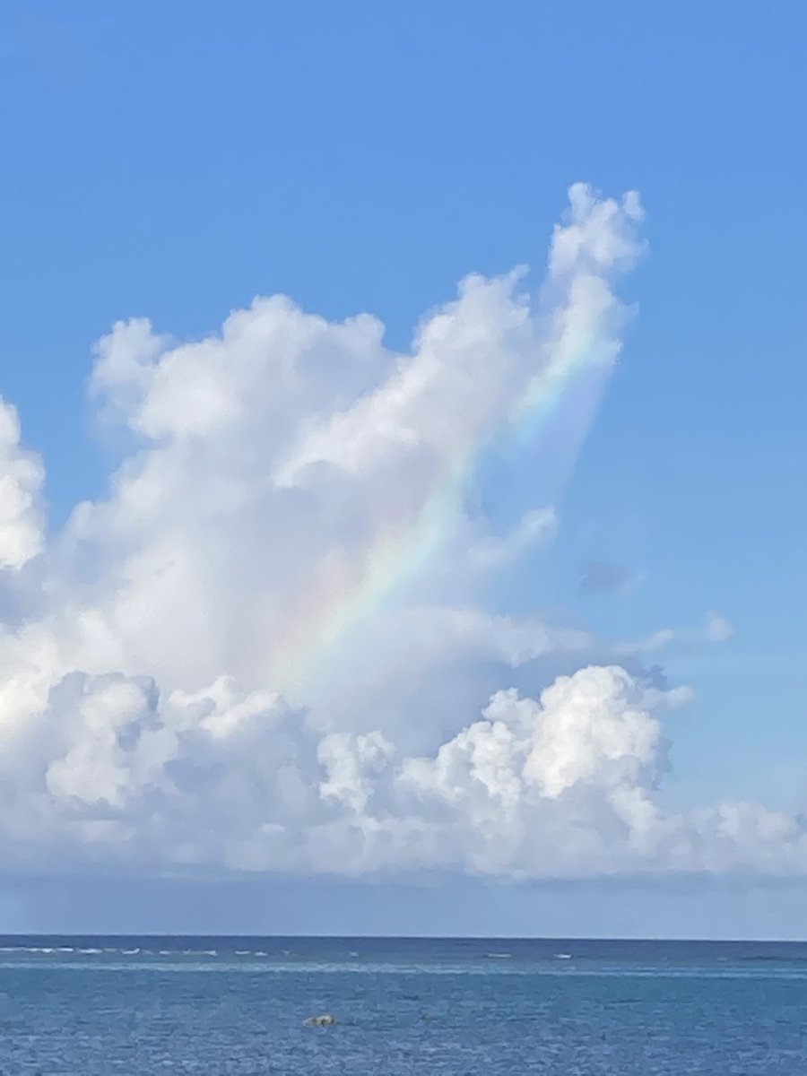 ikuemiroku's tweet photo. 🌈 https://t.co/pmw6P1DSpX