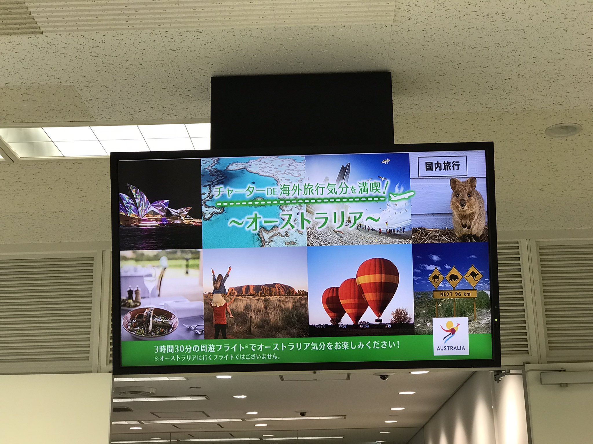 ななつぼし 航空旅行チャンネル Jal 日本航空 オーストラリア行とアナウンス オーストラリアの何処だよ シドニー メルボルン パース ケアンズ ブリスベン 行き先表示は 成田 Narita Jl1901 便は実は Jl4981 Jal4981 で実は化けを剥がすと