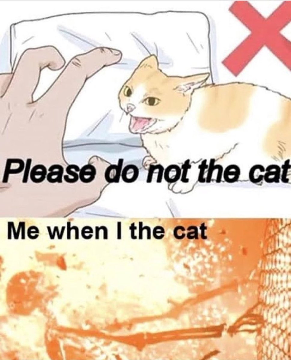 jinxychu's tweet photo. do it 
#memes 
#CatsOfTwitter https://t.co/bncKzHEVBs