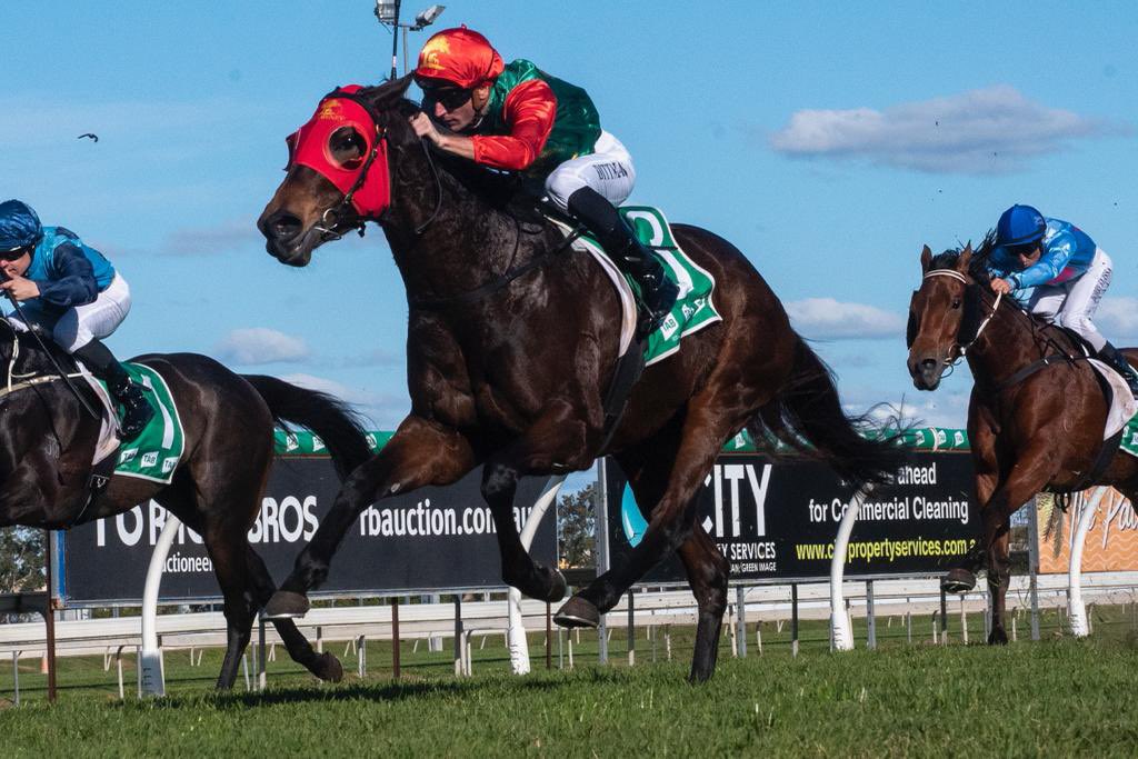 Trelawney Stud tweet media