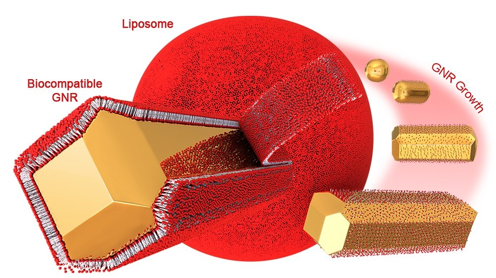 GrafikaLabs (@grafikalabs) on Twitter photo TOC & Figure published in #ChemistryofMaterials. Cationic Liposomes Enable Shape Control in Surfactant-Free Synthesis of Biocompatible Gold Nanorods. Read here: pubs.acs.org/doi/10.1021/ac… #sciart #sciencevisuals #scienceillustrations #sciarts #scienceart #scientificillustration TOC & Figure published in #ChemistryofMaterials. Cationic Liposomes Enable Shape Control in Surfactant-Free Synthesis of Biocompatible Gold Nanorods. Read here: pubs.acs.org/doi/10.1021/ac… #sciart #sciencevisuals #scienceillustrations #sciarts #scienceart #scientificillustration