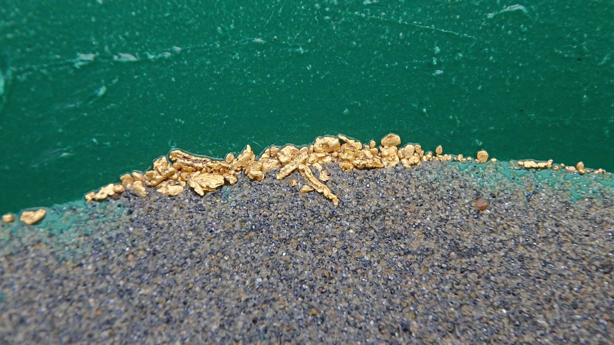 sluicelee's tweet photo. River Gold #goldprospecting #goldpanning #placer https://t.co/jOFLRNb7Fv