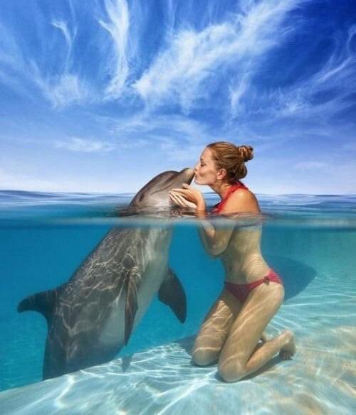 Pavlo 🏝️🐬 (@pavlo_ua) on Twitter photo 