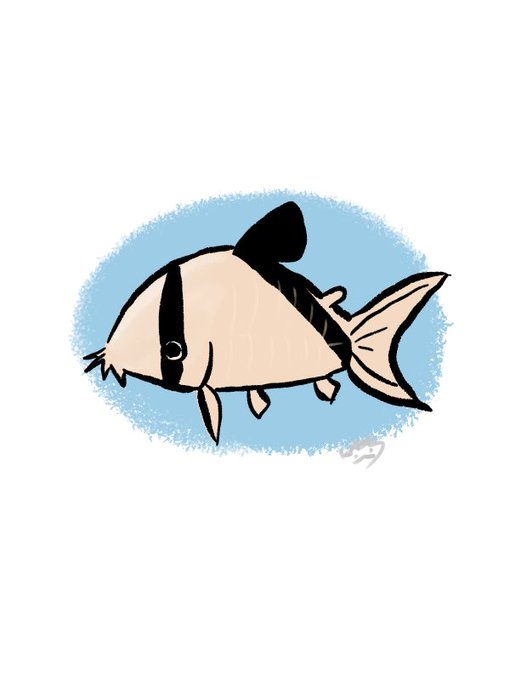 ドジョウのtwitterイラスト検索結果 ドジョウのtwitterイラスト検索結果