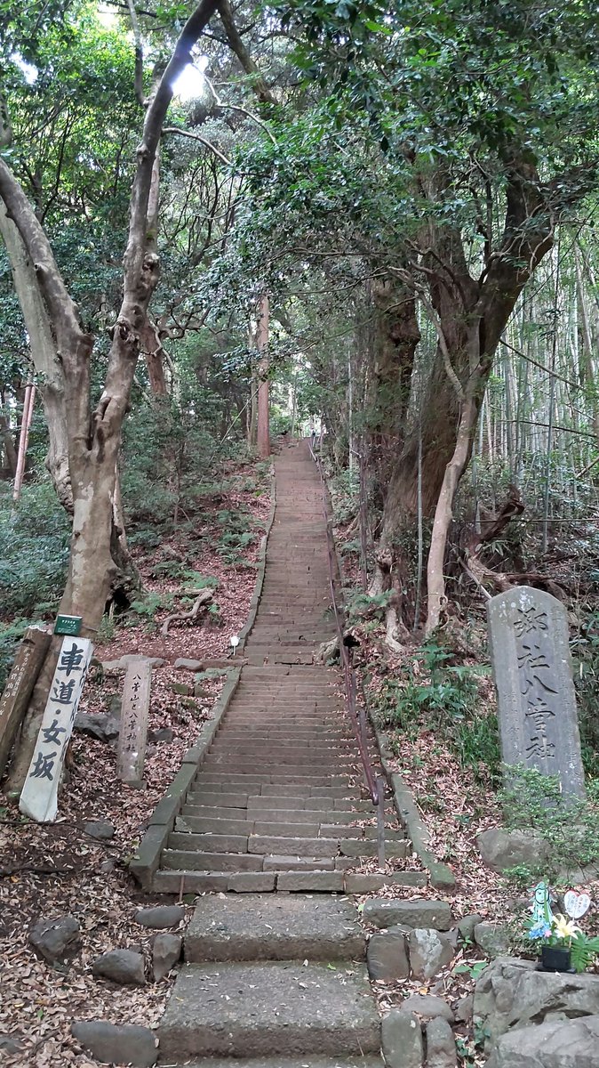 獄門島 長谷川博己 ロケ地
