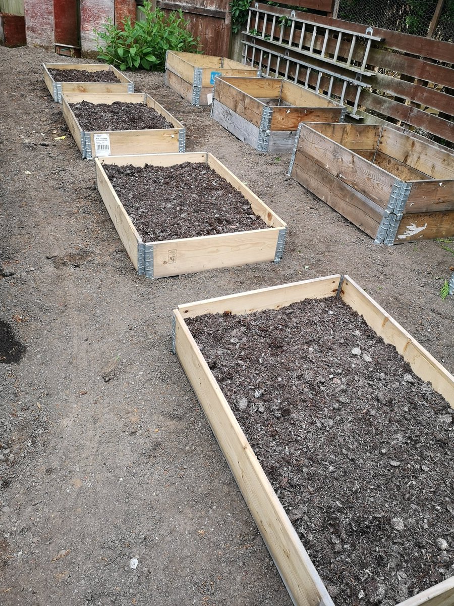 DonnaHe60990670's tweet photo. Wow, 1/2hr sofar to place #mushroomcompost 💪 just another 1hr then and it will be ready to plant up ❤️ #operationveggiebeds https://t.co/UuWoWDLjg2