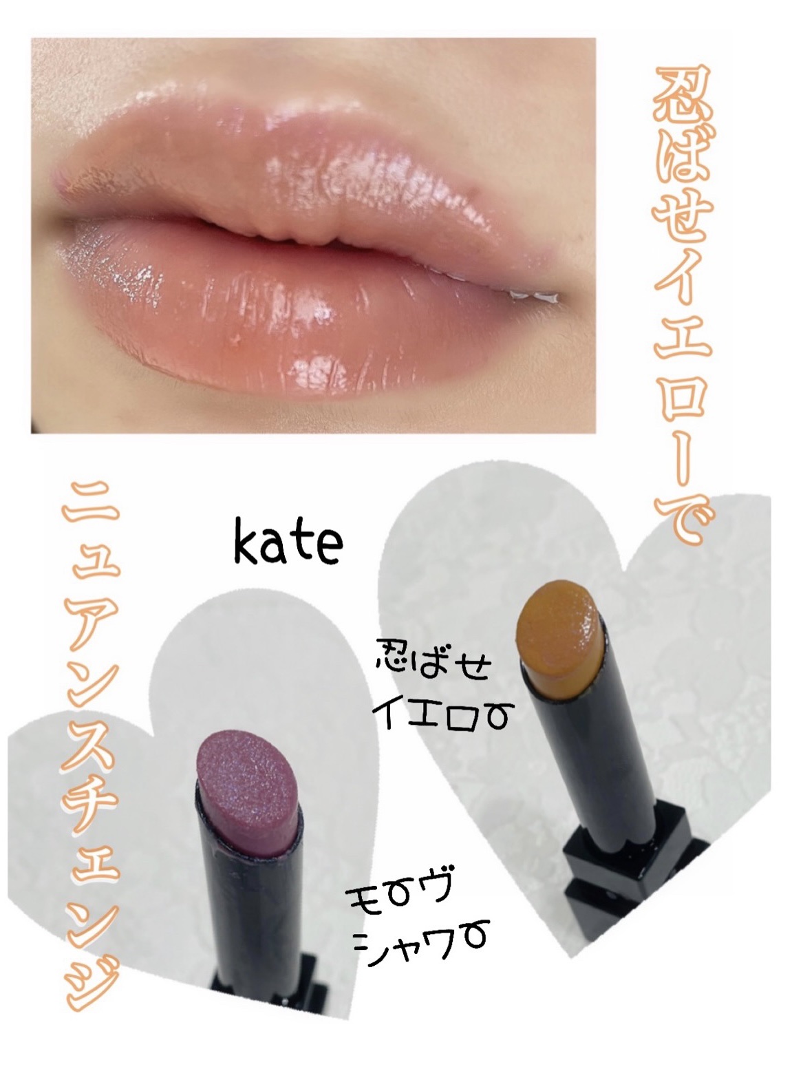 ⭐︎ケイトナスさん専用⭐︎エバーフレッシュ エバーフレッシュの種 7個 きやす