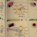 家庭科の教科書で好きだったページ。レバーだけがまるでバグのよう。