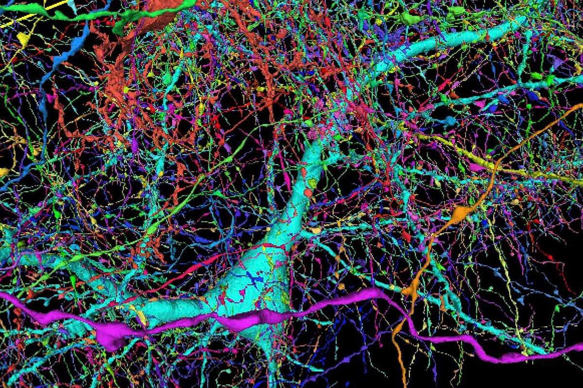 Google has mapped a piece of human brain in the most detail ever bit.ly/3zlxK0I