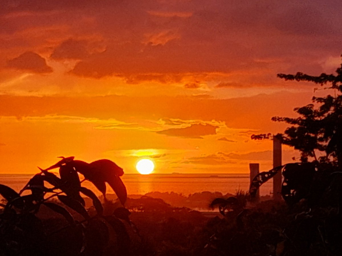 __vesi's tweet image. us gang from the west 🍂 #homeview #sunsets #lautoka