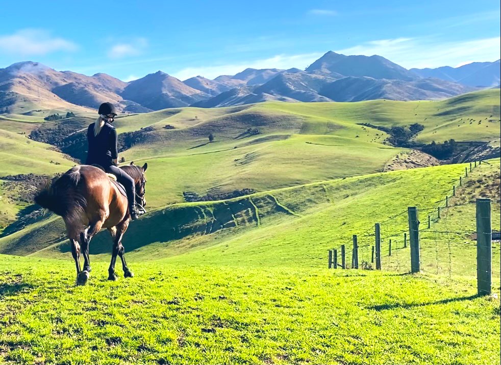 Sam 🤍 tweet media