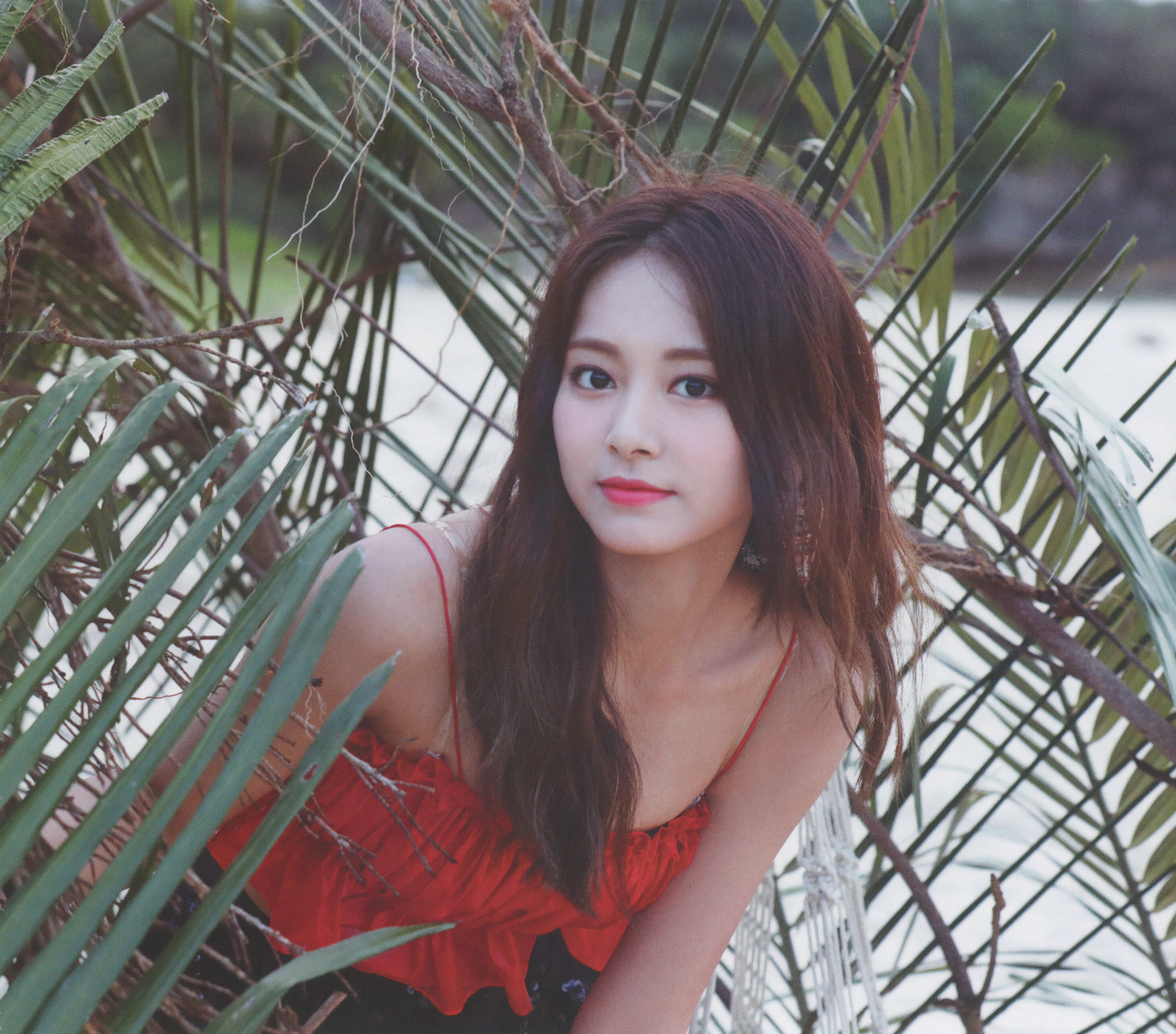 TWICE Summer Nights モノグラフ トレカ セット コンプ