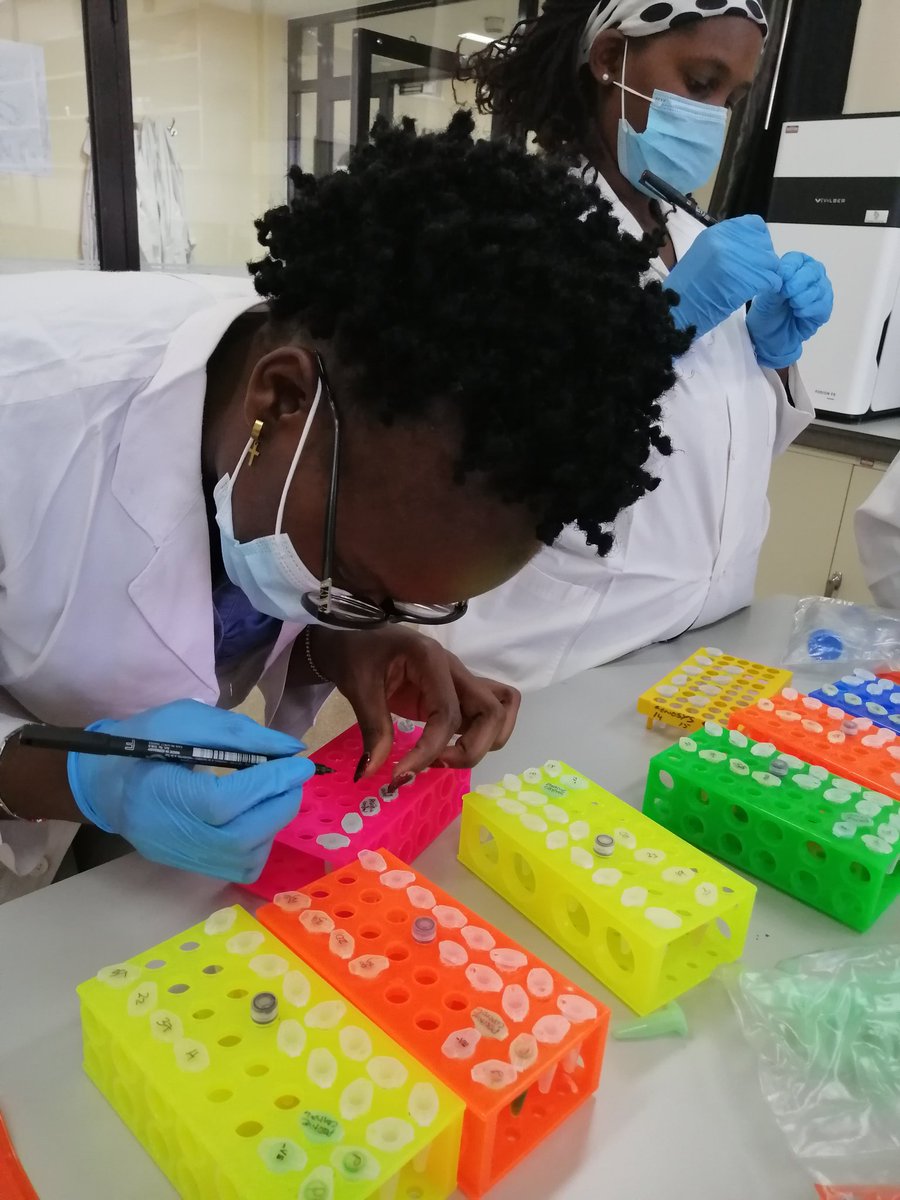 Esther Kanduma tweet media